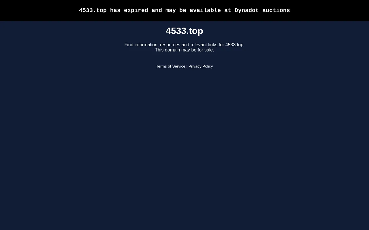 Screenshot of 4533.top