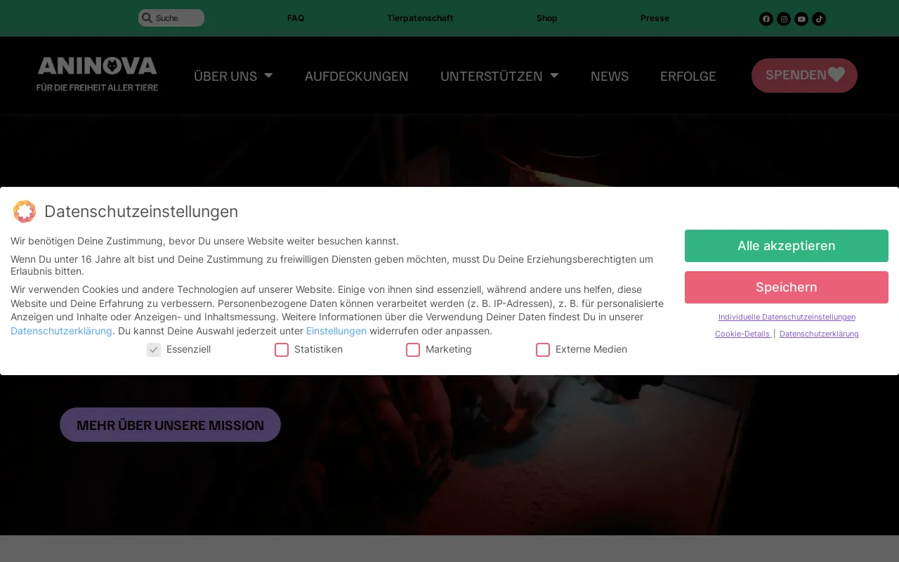 Screenshot of aninova.org