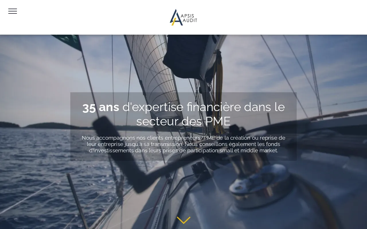 Screenshot of apsis-audit.com