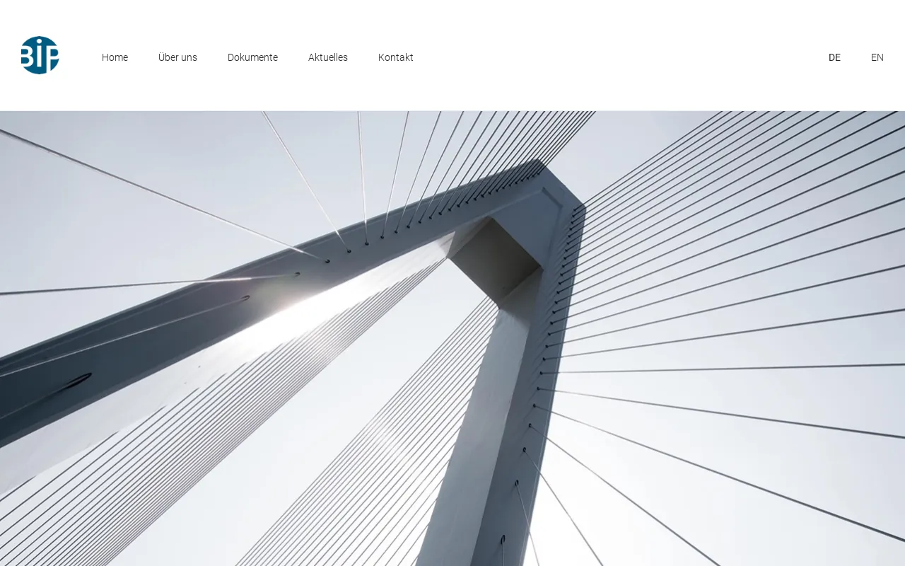 Screenshot of brueckner-ip.de