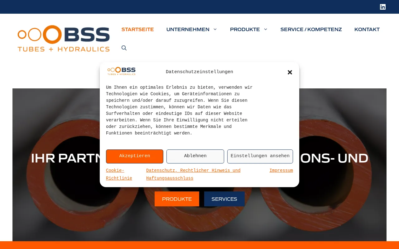Screenshot of bss-roehren.de
