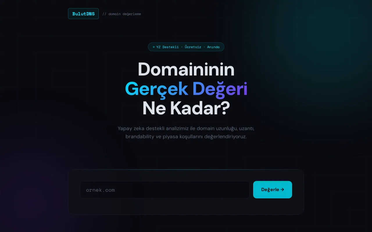 Screenshot of bulutdns.com