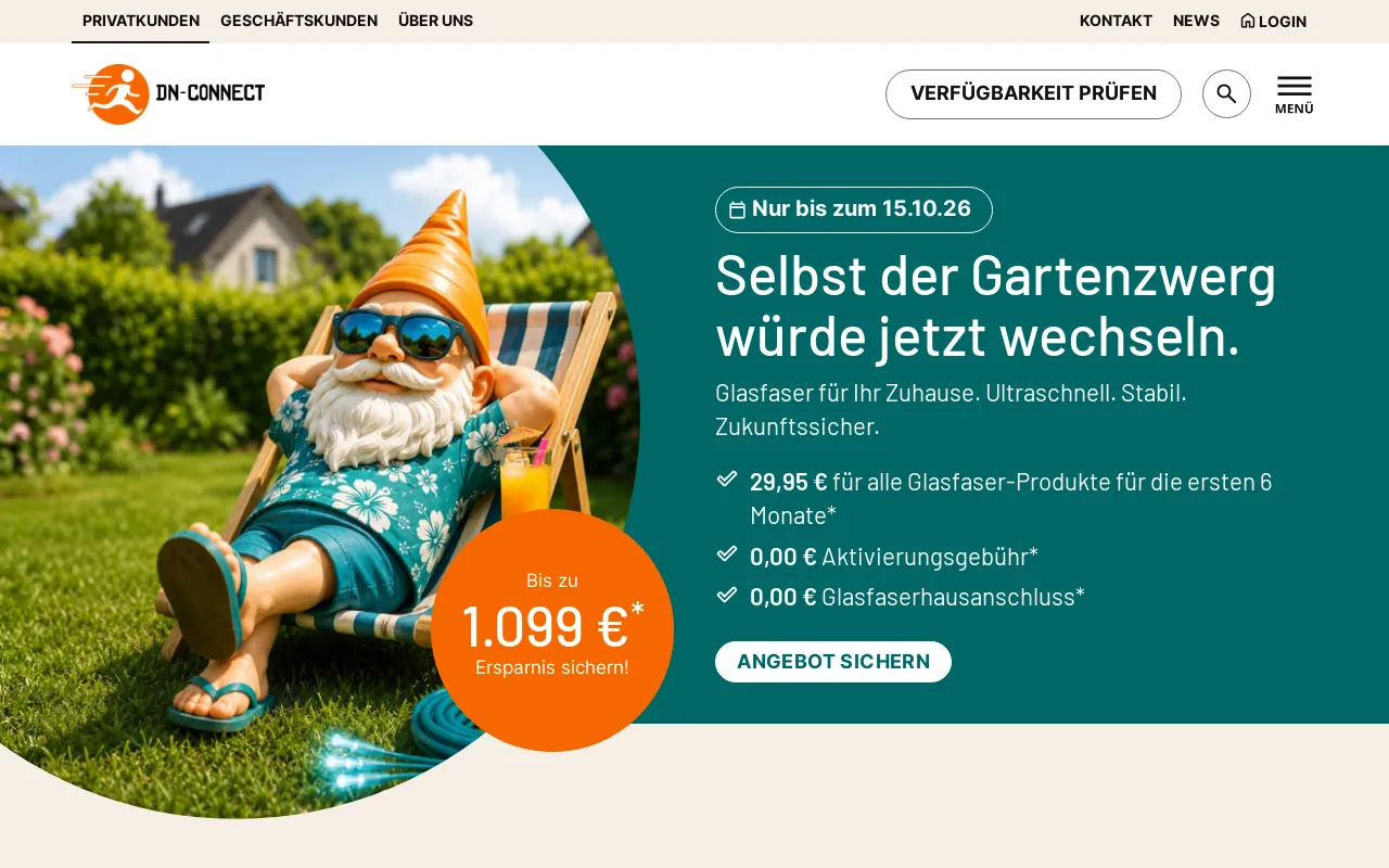 Screenshot of dn-connect.de