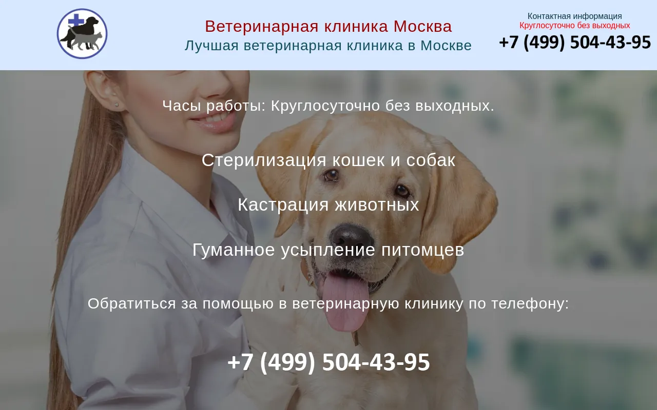 Screenshot of dog-n-cats-shelter.ru