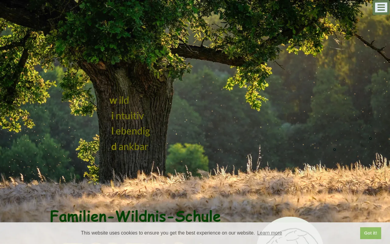 Screenshot of familien-wildnis-schule.de