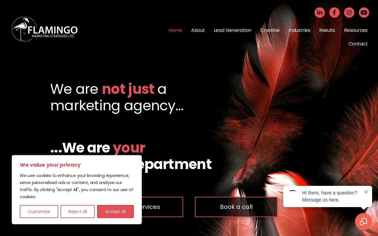 Screenshot of flamingogo.info