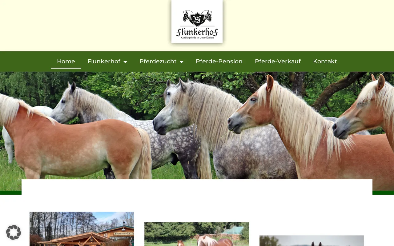 Screenshot of flunkerhof.de