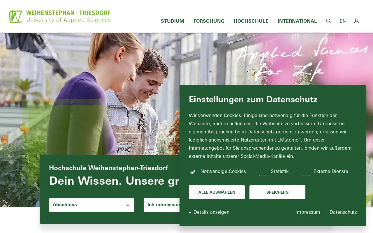 Screenshot of hswt.de
