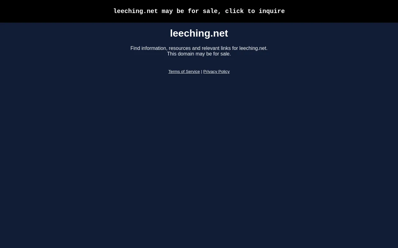Screenshot of leeching.net