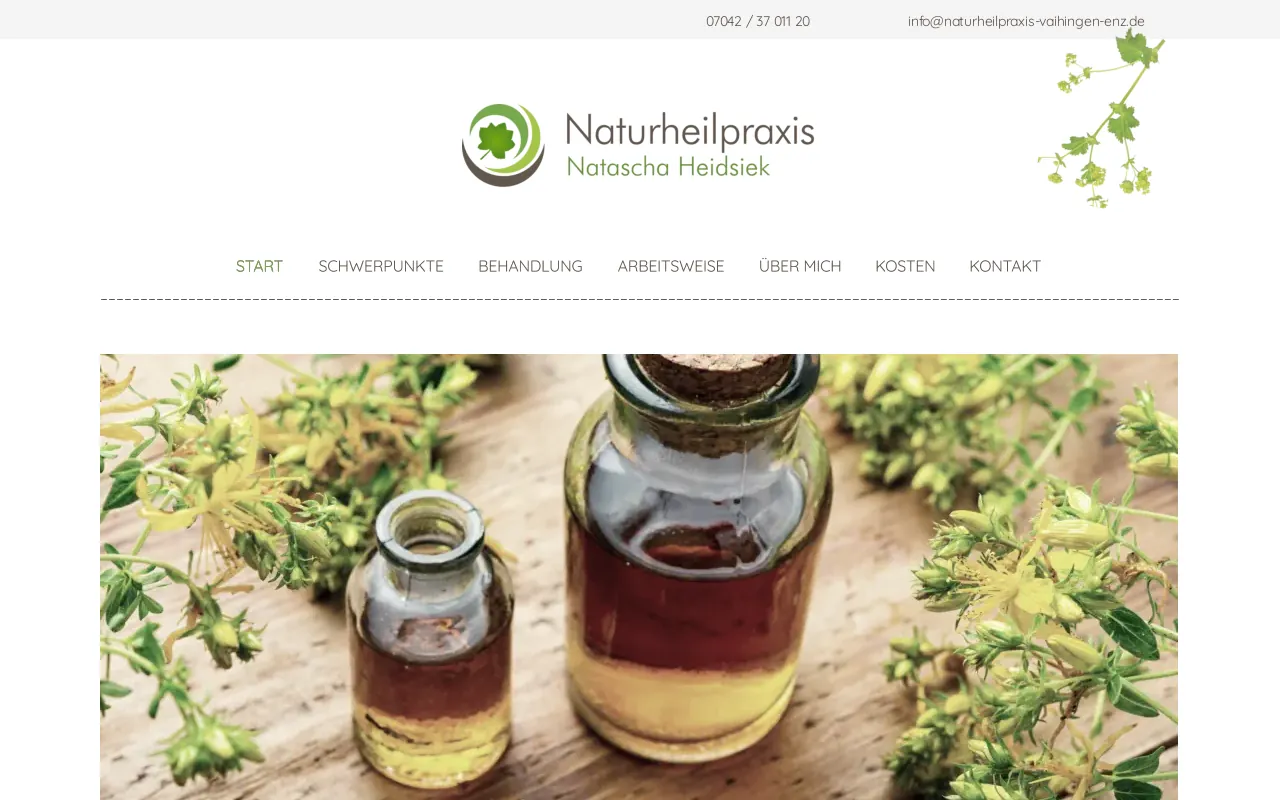 Screenshot of naturheilpraxis-vaihingen-enz.de