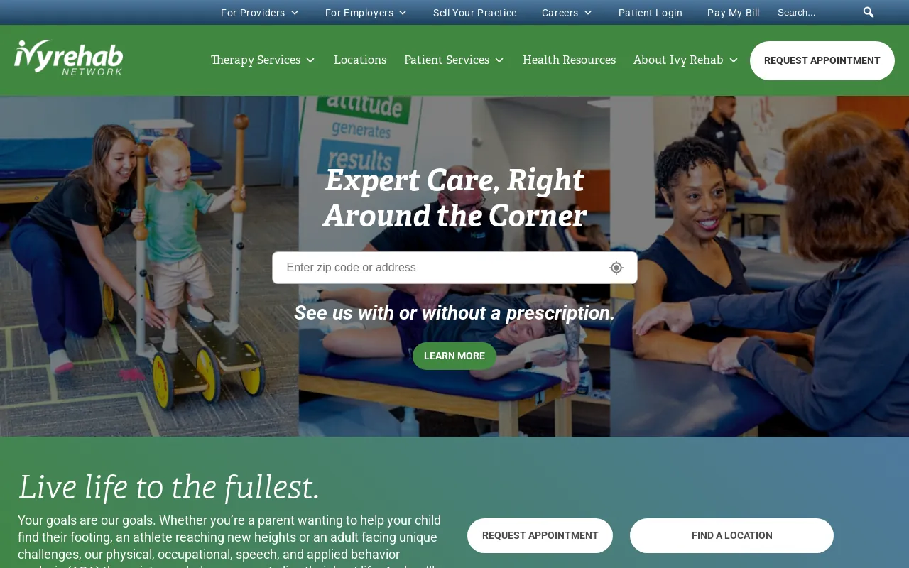 Screenshot of physicaltherapyone.net