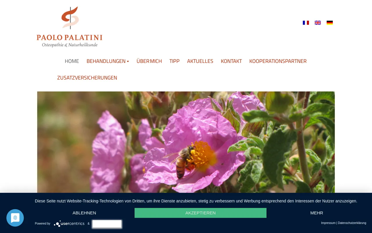 Screenshot of praxis-palatini.de