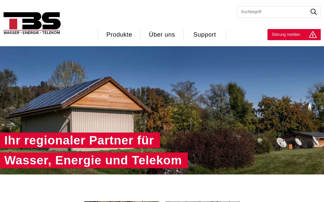 Screenshot of tbsuhr.ch