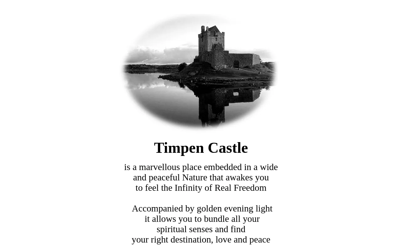 Screenshot of timpencastle.de