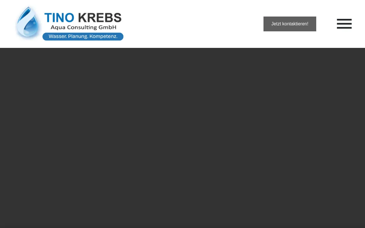 Screenshot of tino-krebs.com