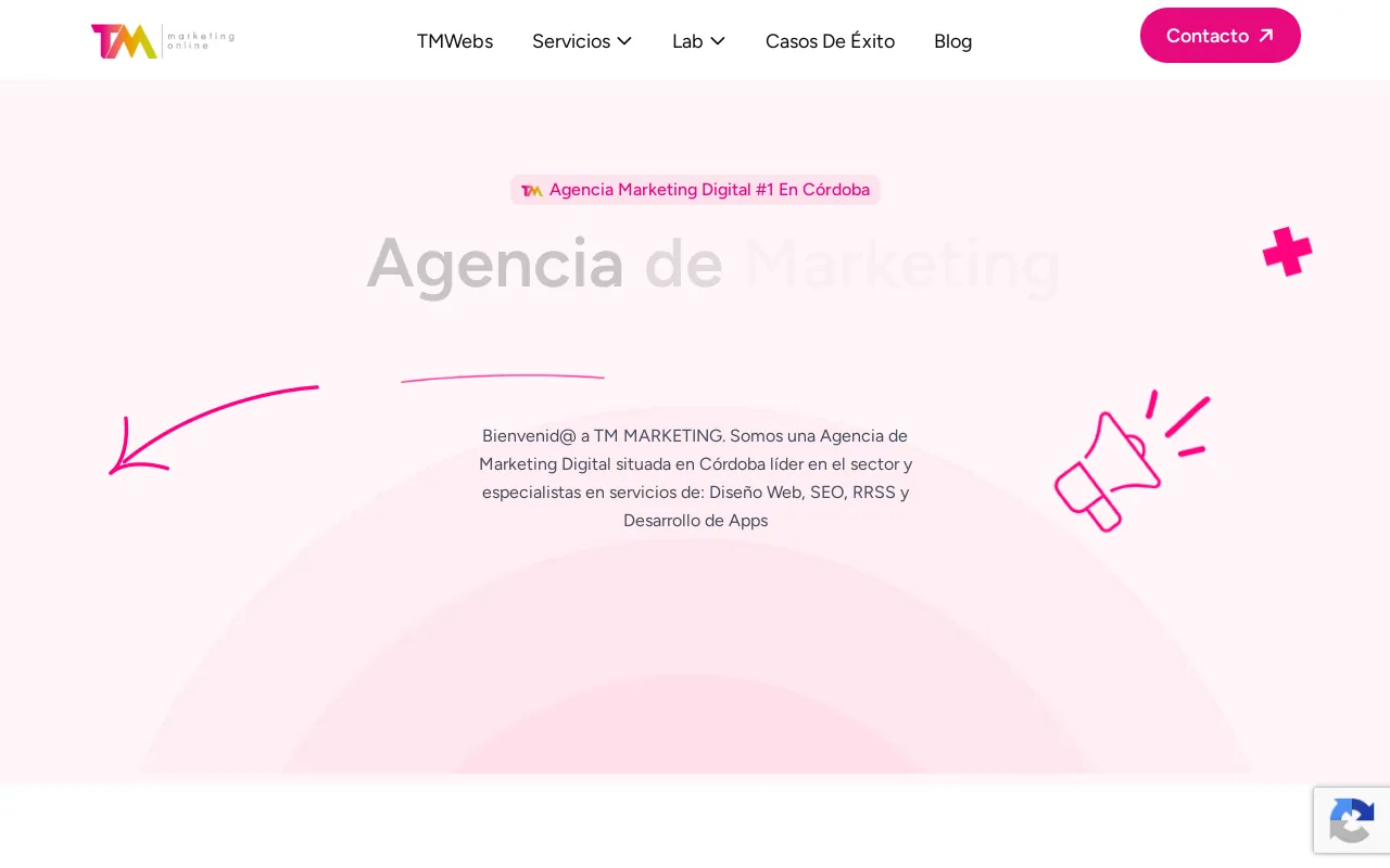Screenshot of tmwebs.es