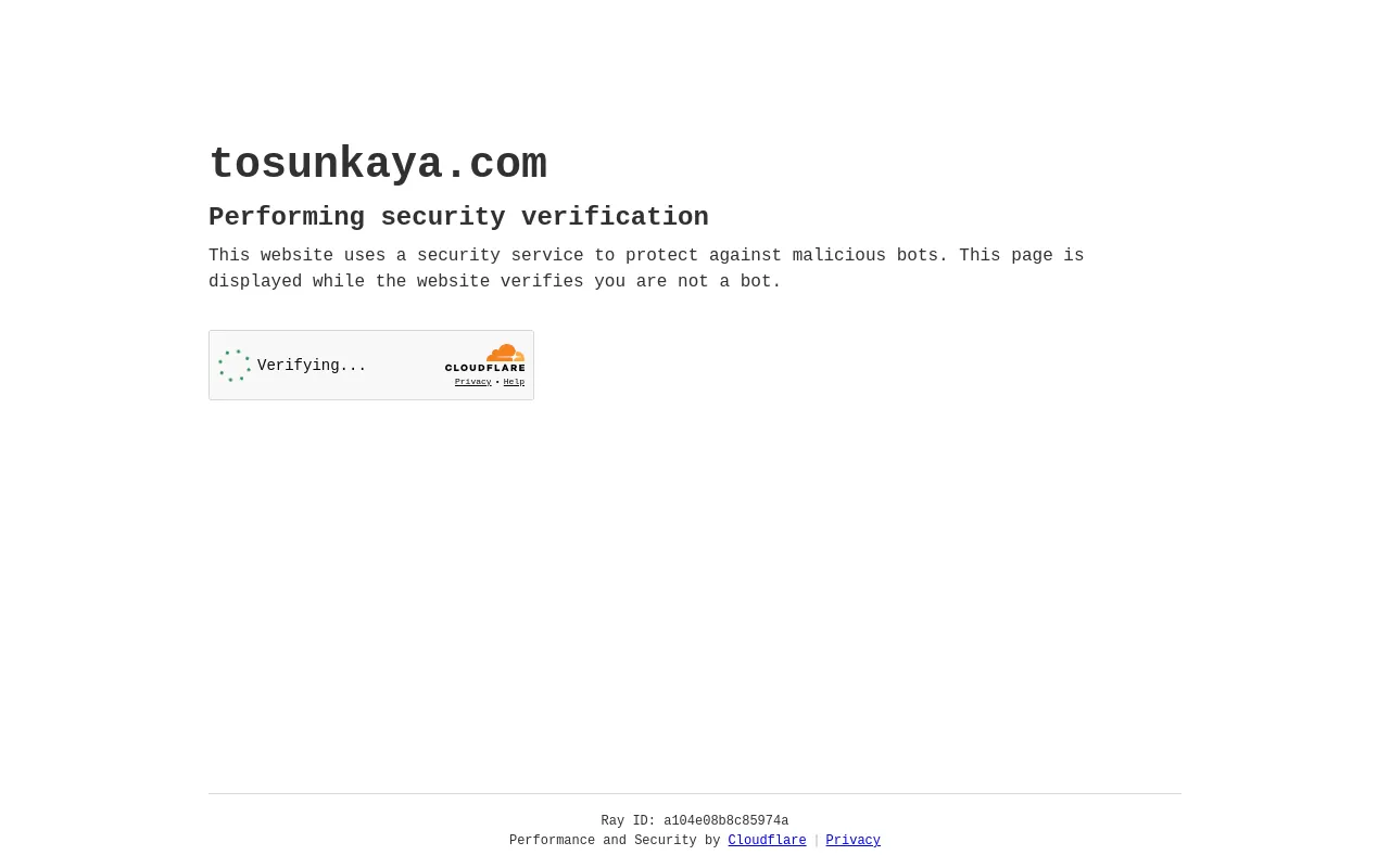 Screenshot of tosunkaya.com
