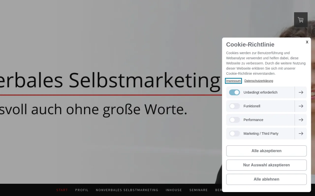 Screenshot of wilisch-consulting.de